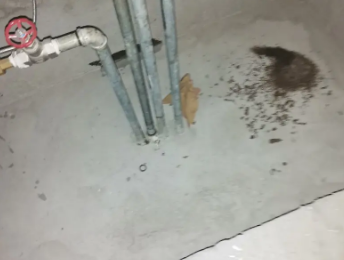 顺义卫生间测漏水价格明细