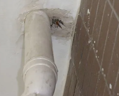 顺义漏水检测哪家好